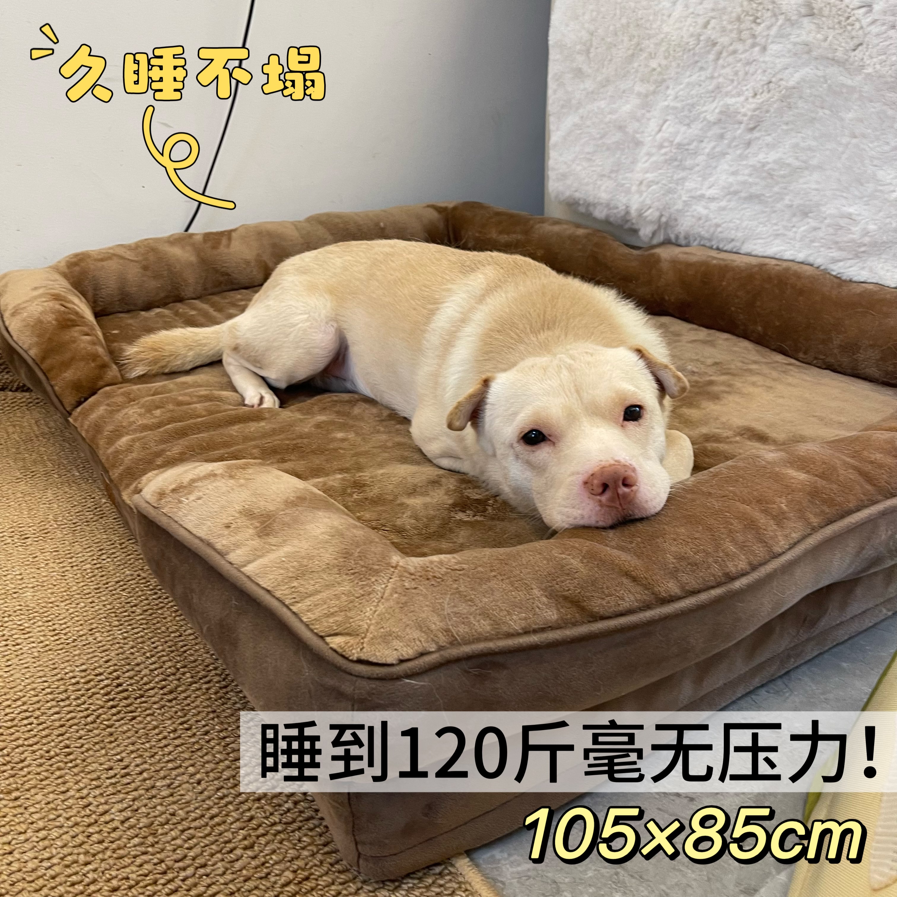 出口亚马逊外贸尾单宠物狗窝四季通用可拆洗狗床狗垫子支撑性强