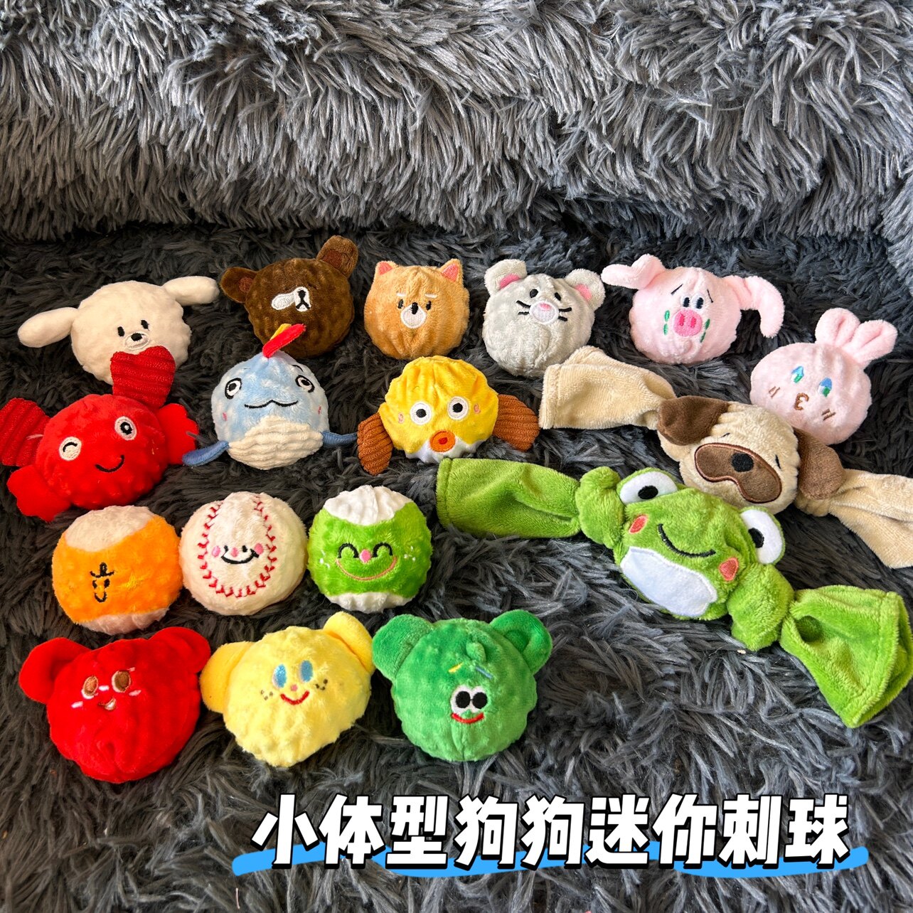 迷你刺球巴哥拔河小熊刺球马尔泰比熊泰迪狗狗弹力球发声玩具图片