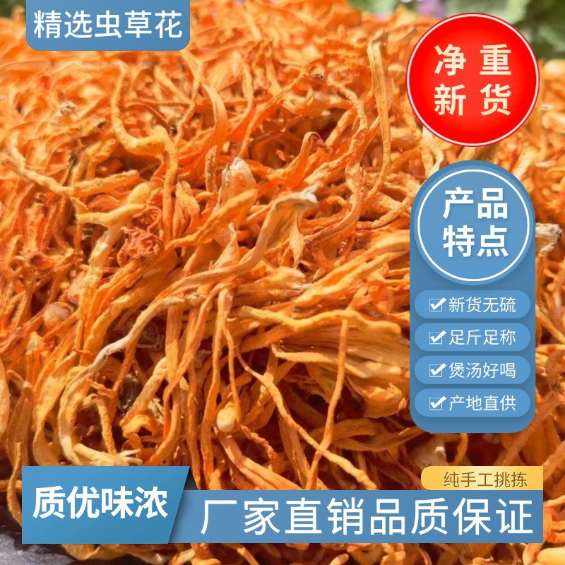 虫草花干货煲汤食材净重煲汤食材