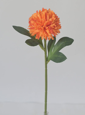 小资独狼餐桌插花单支球菊装饰
