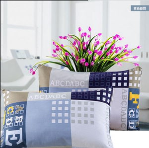 学生宿舍床上单人枕头加枕套套装枕芯带枕套护颈枕单个一只装整头