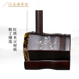 乐海 二胡乐器初学者入门飞花点翠图案红铁木豆材质胡琴