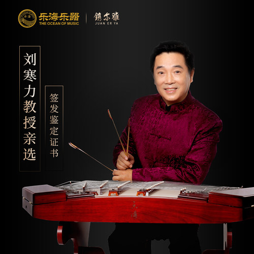 乐海乐器专家监制演奏402扬琴