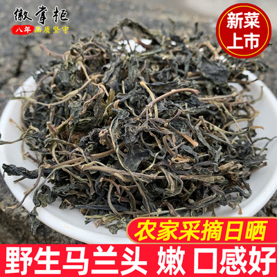 新货野生马兰头干脱水串菊250g