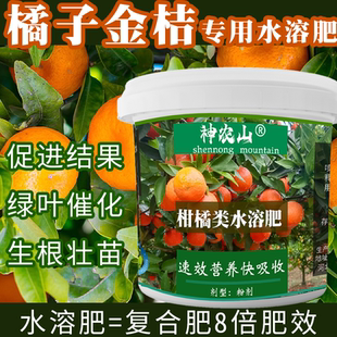 桔子树专用肥橘子树肥料金桔树柑橘复合沃柑果树盆栽营养液氮磷钾
