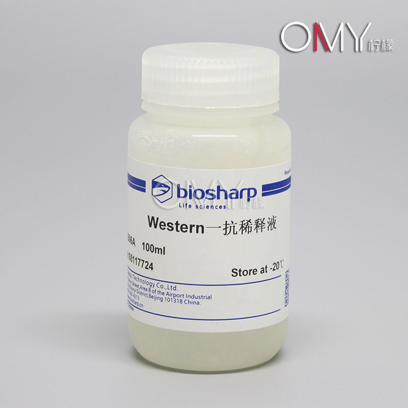 Biosharp BL506A Western一抗稀释液 100ml一抗的稀释和配制