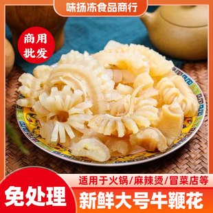 新鲜牛鞭花5斤火锅食材牛鞭牛杂冷冻半成品酒店餐饮烧烤家用商用