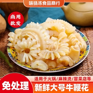 新鲜牛鞭花5斤火锅食材牛鞭牛杂冷冻半成品酒店餐饮烧烤家用商用