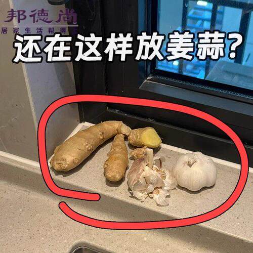 厨房置物架葱姜蒜收纳盒吸盘置物架壁挂生姜大蒜收纳管道清洁棒