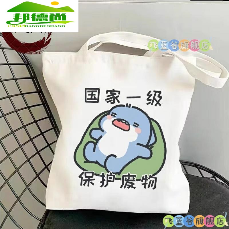 帆布包袋子手提学生包女上课装书ins风原创潮牌小众设计单肩通勤大容量