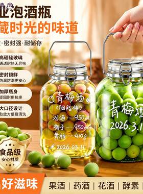 专业泡酒专用酒瓶空玻璃瓶杨梅酒果酒可长期存酒密封罐酒罐容器