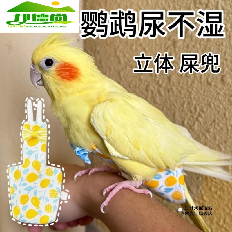 鹦鹉纸尿裤尿不湿屎兜小鸟便兜衣服和尚玄凤虎皮牡丹鹦鹉拉屎神器