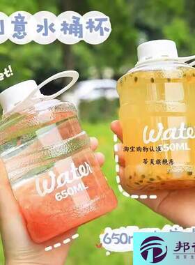 网红迷你小矿泉水桶吨吨桶小号奶茶个性创意水杯透明塑料饮水机桶