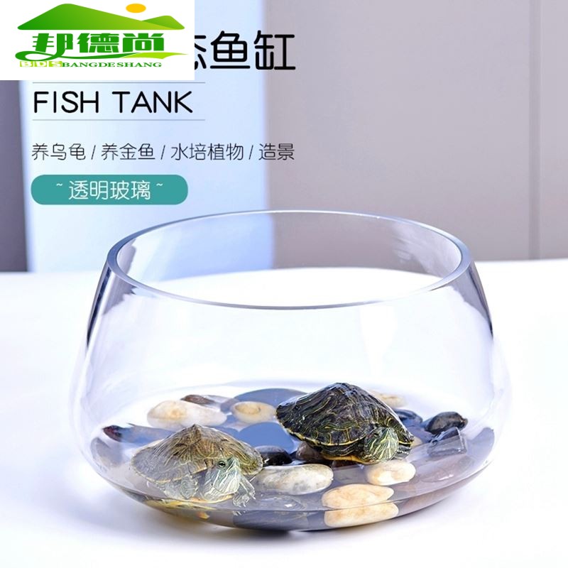 鱼缸玻璃圆形办公桌迷你桌面乌龟缸家用小鱼创意透明小型绿萝水培