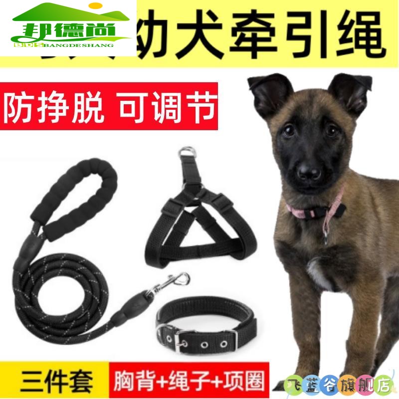 狗狗牵引绳防爆冲背心式中型犬法斗巴哥马鞍式可调节胸背带遛狗绳