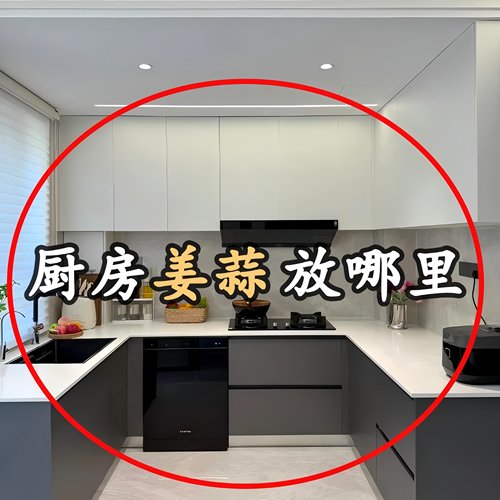 吸盘旋转葱姜蒜收纳盒免打孔厨房家用沥水大蒜生姜挂篮橱柜收纳筐