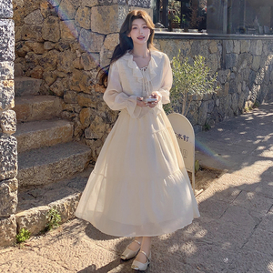 现货 主推款 新款连衣裙+马甲 两件套 271-8158P165K228，女装连衣裙，浙宝271