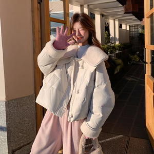 现货 新款 蛋白皮拼接羊羔毛90白鸭绒羽绒服 271-9232P335K498图片