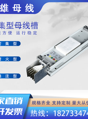 密集母线槽高绝缘插接箱低压封闭式铝合金湖南母线4P5P630A1250A