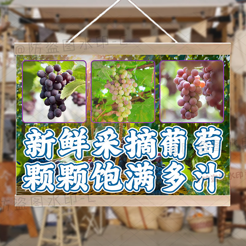 现摘葡萄挂画果园采摘油画布摆摊水果地摊夜市推车广告招牌展示