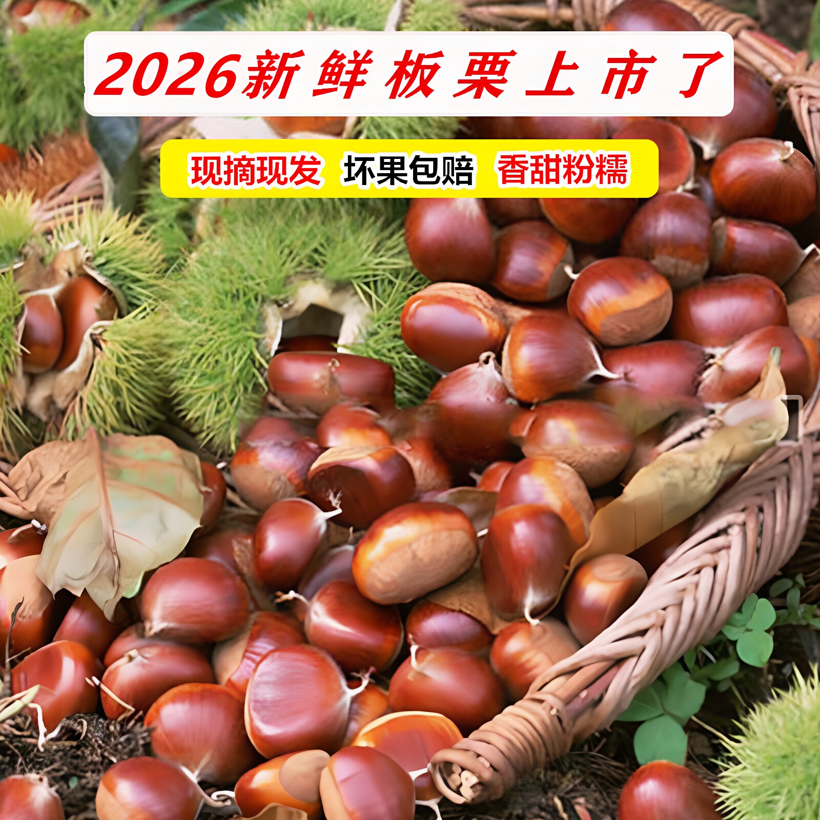 罗田板栗生新鲜栗子生农家现摘现发油栗子毛栗子板栗即食板栗仁