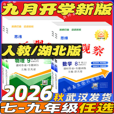 新观察课时作业专项训练