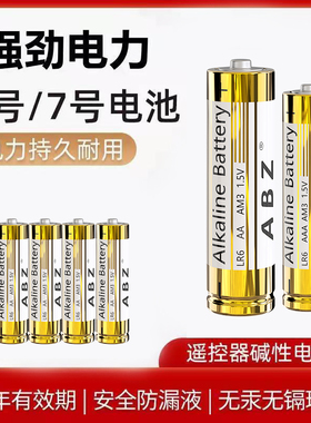 5号电池耐用7号电池玩具遥控器碱性电池五号电池七号干电池
