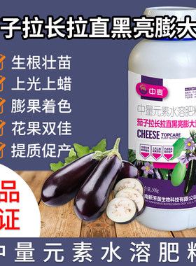 茄子拉长拉直黑亮膨大素茄子专用