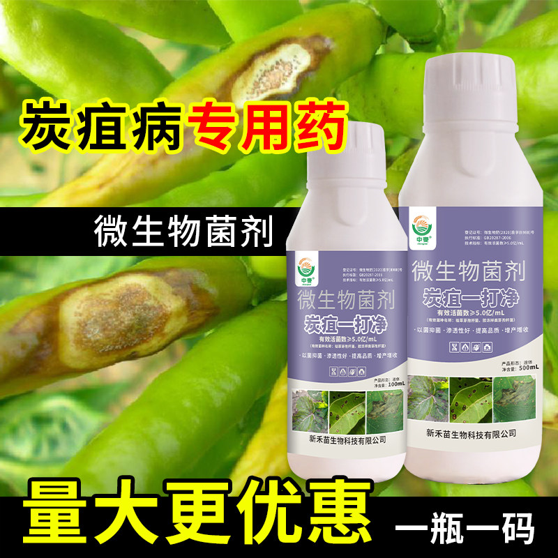 果树蔬菜番茄辣椒炭疽病杀菌剂