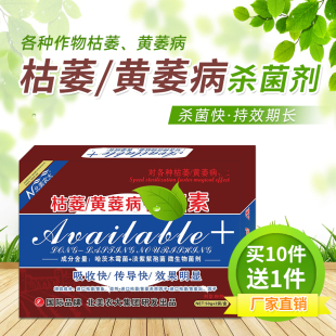 枯萎黄萎病特效素辣椒黄瓜茄子草莓西瓜番茄根腐立枯青枯病专用药
