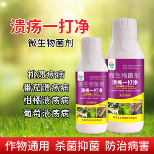 溃疡病一打净溃疡病专用猕猴桃柑橘溃疡病杀菌剂果树砂糖橘溃疡病