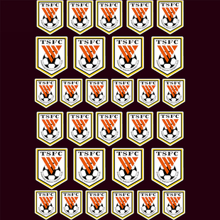 山东泰山队队徽贴纸 中超周边鲁能泰山贴纸手机电脑笔记本装饰