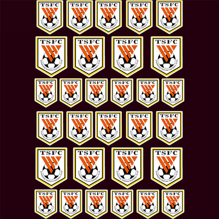 山东泰山队队徽贴纸 中超周边鲁能泰山贴纸手机电脑笔记本装饰