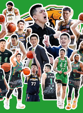 赵继伟CBA杨鸣男篮郭艾伦贴纸