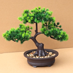 仿真植物盆栽假發(fā)財樹客廳擺件室內(nèi)裝 飾柜臺花塑料花大型綠植盆景