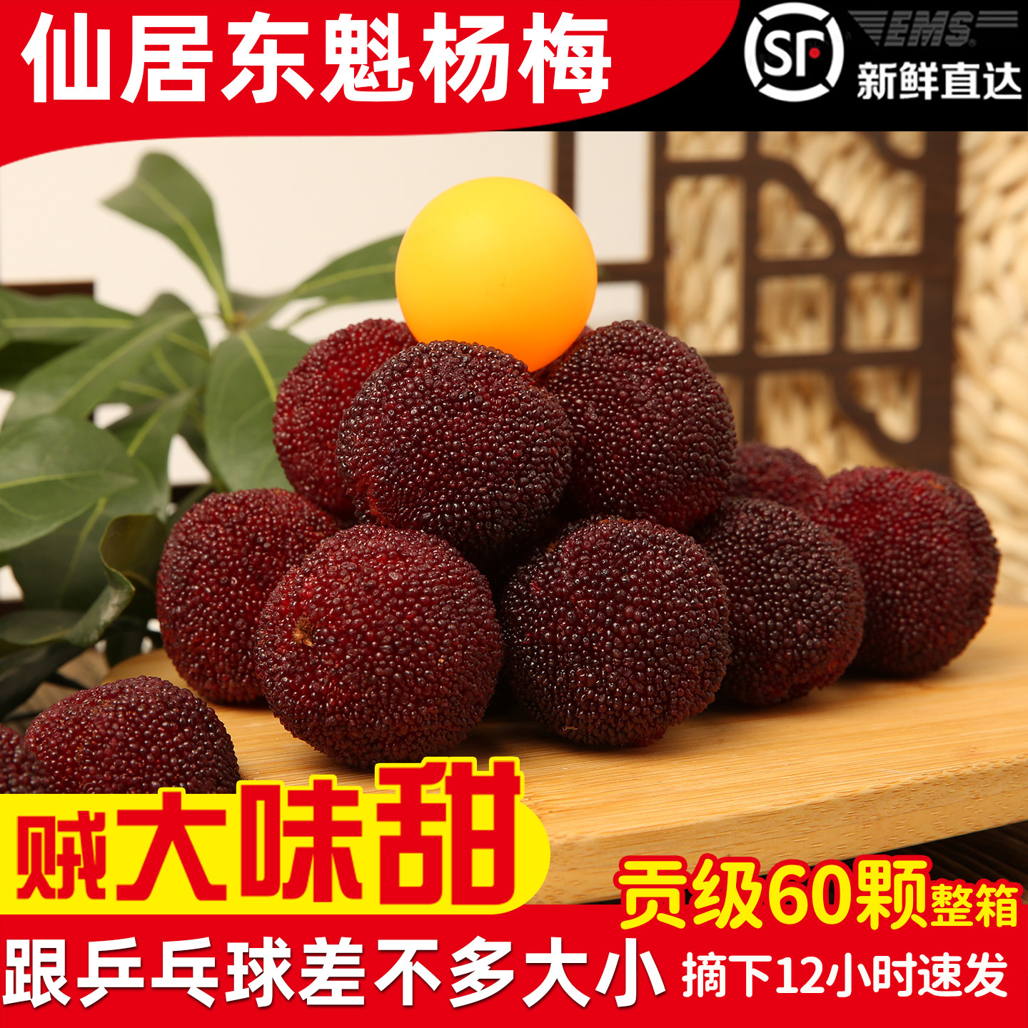 [贡级稀缺大果]仙居东魁大杨梅新鲜水果鲜果当季现摘现发颗粒包装