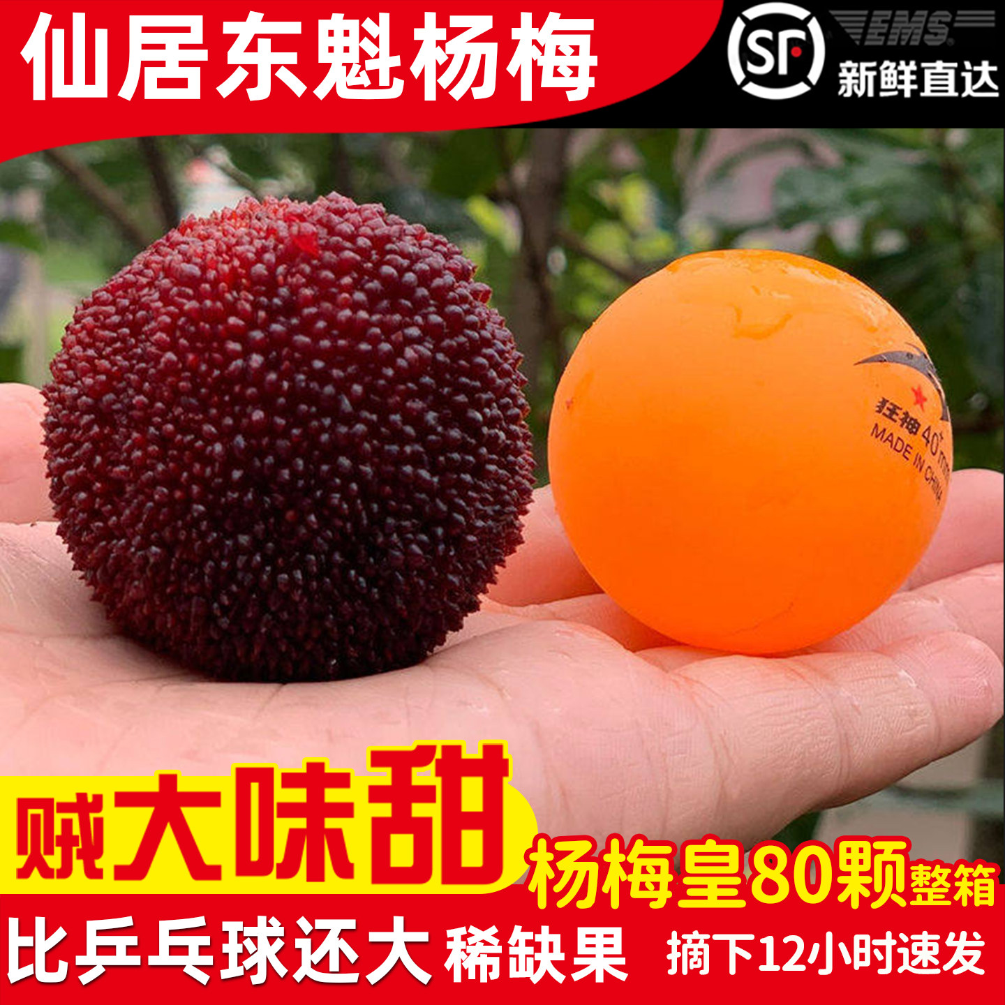 【杨梅皇稀缺大果】正宗仙居东魁杨梅新鲜水果80颗礼盒装现摘现发