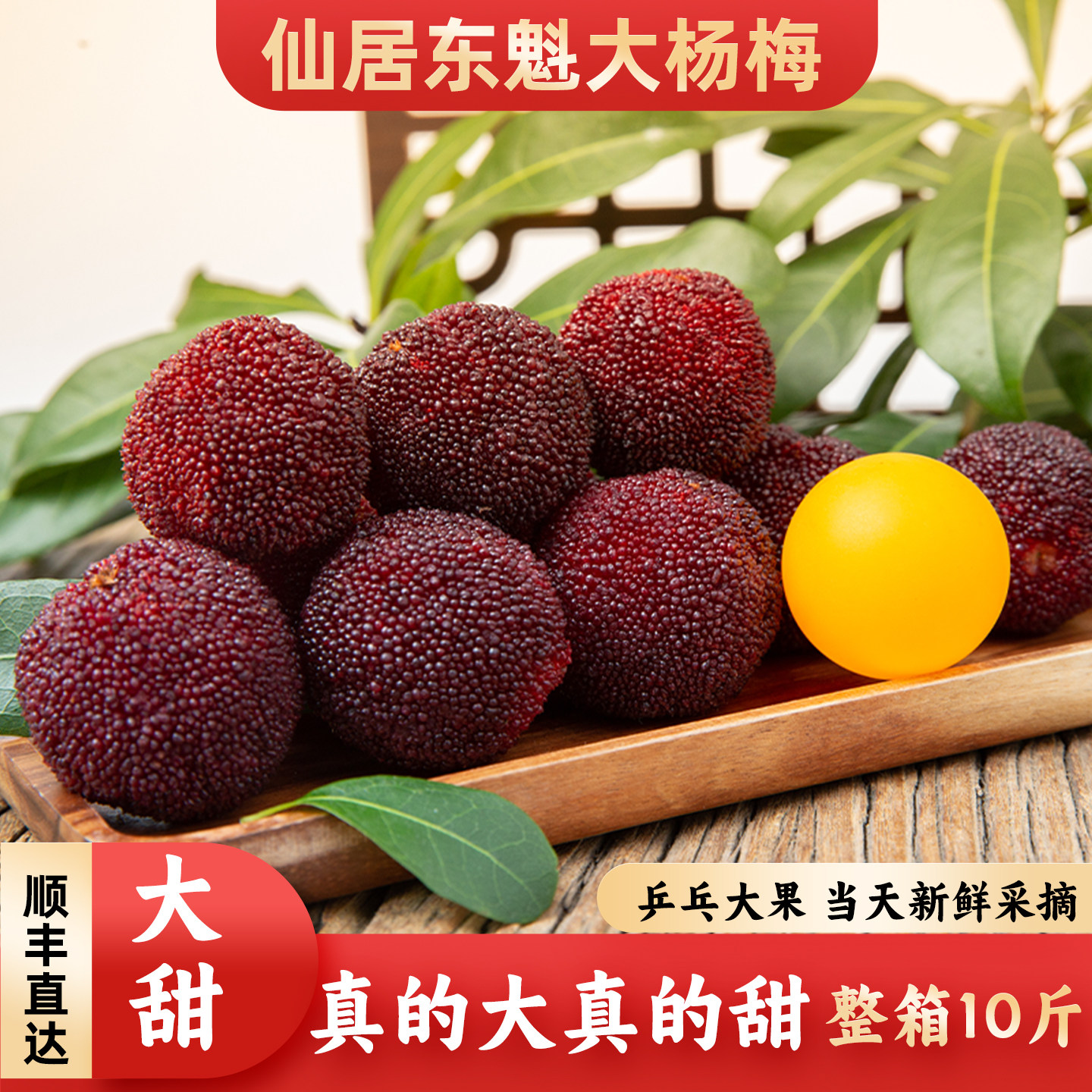 [乒乓球大果]仙居杨梅鲜果新鲜东魁杨梅正宗浙江杨梅当季水果现摘