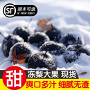 延边东北冻梨新鲜梨子冻苹果梨北方特产水果秋梨雪梨花盖大黑梨子