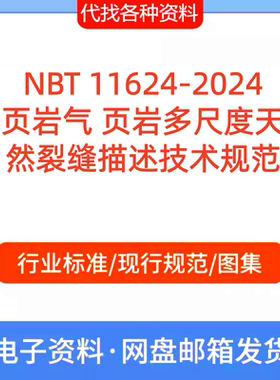 NBT 11624-2024 页岩气 页岩多尺度天然裂缝描述技术标准规范PDF
