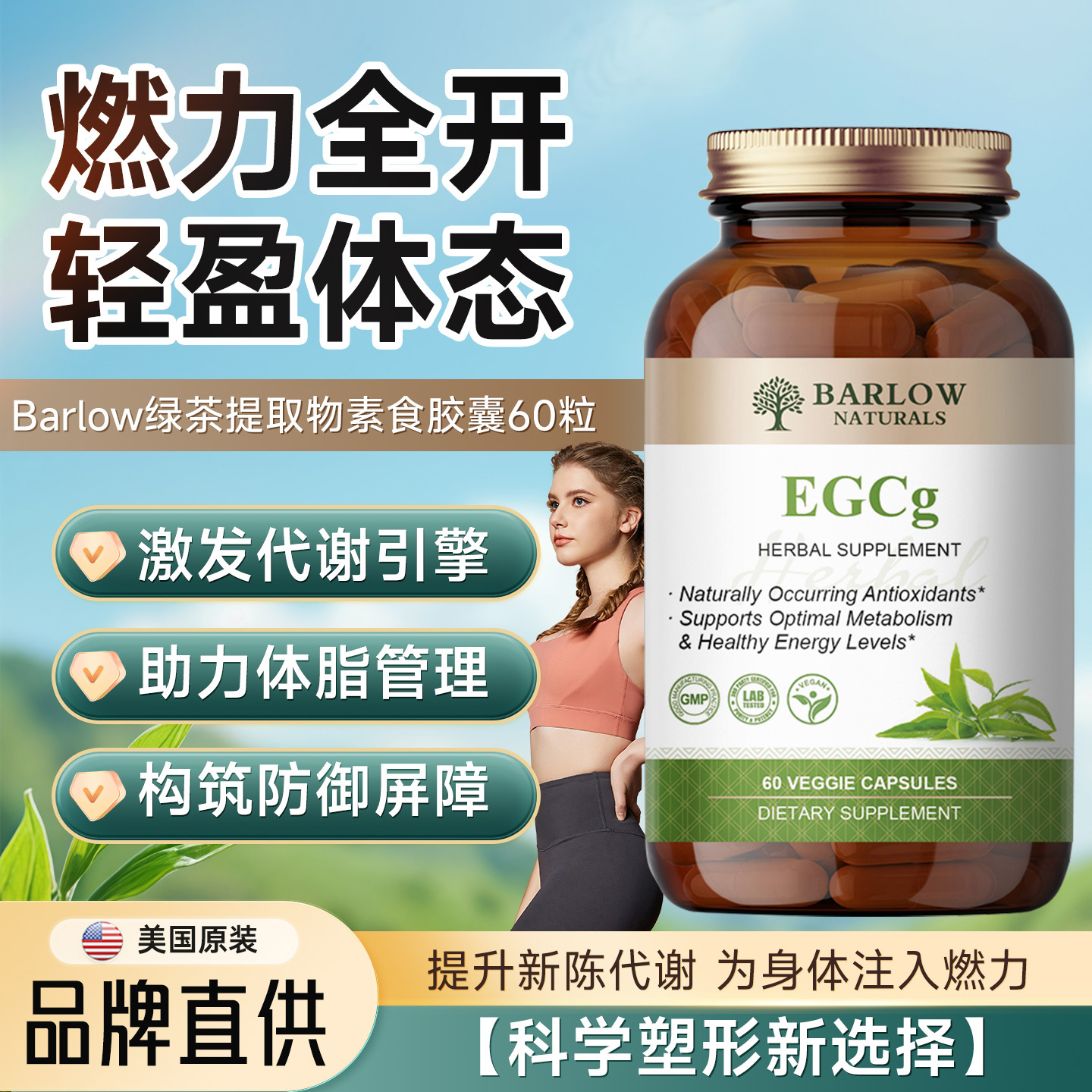 茶素茶多酚抵氧热量阻断运动代谢