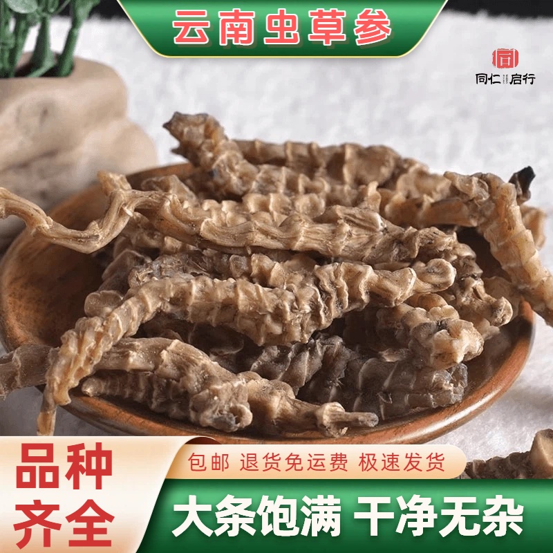 云南虫草参野生地参中药材新鲜干货精选新货泡酒地蚕草石蚕地笋