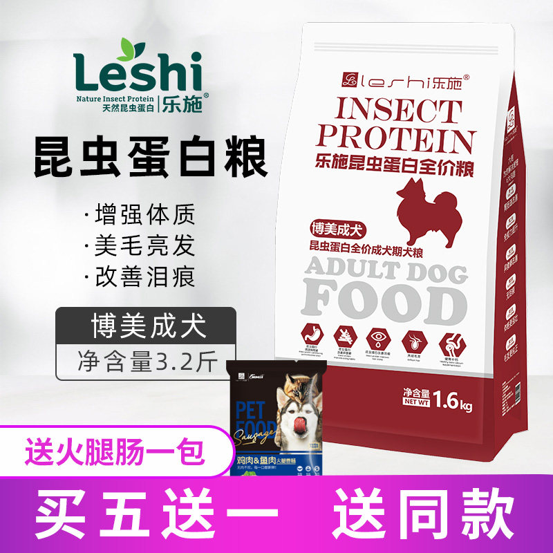 香港纯种俊介博美犬活体幼犬白色茶杯超小袖珍犬长不大的宠物狗狗 掌上明猪