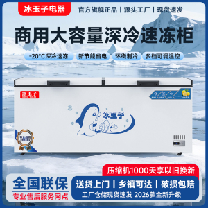 冰玉子冰柜商用大容量冰箱冷藏冷冻卧式超大单温双温铜管速冻柜