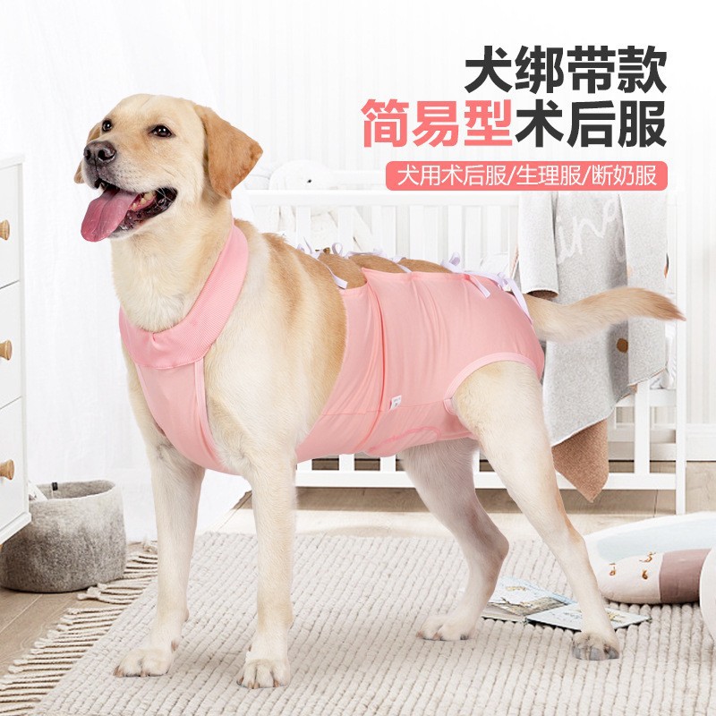 狗狗小中大型犬绝育服绑带透气简单穿脱防舔伤口高弹宠物术后服