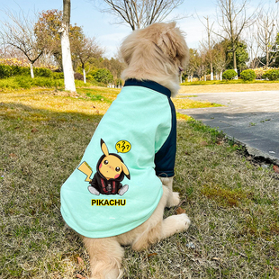 大狗狗衣服春秋季 大型犬背心 防掉毛金毛拉布拉多哈士奇萨摩耶夏季