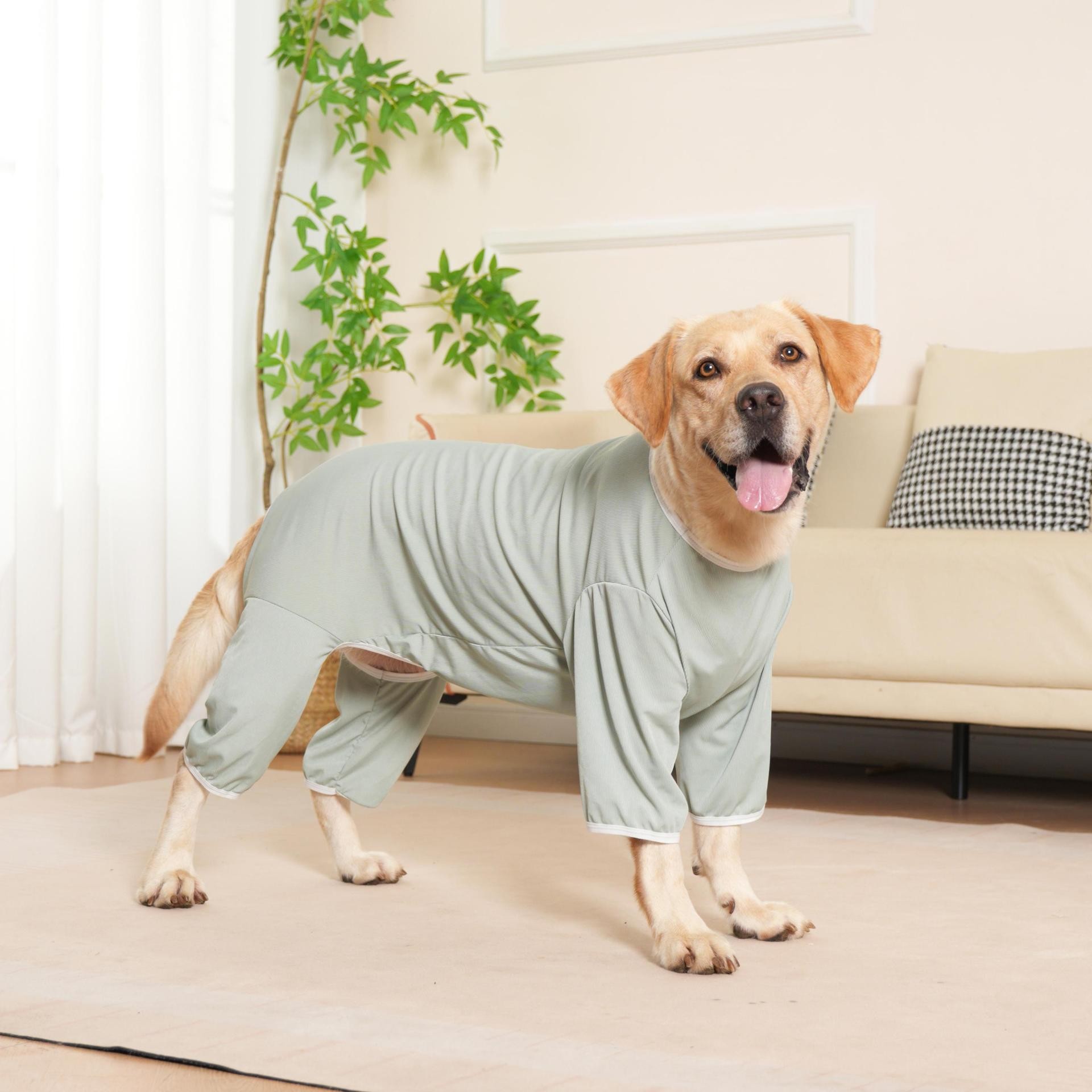 宠物狗狗中大型犬四脚冰丝防晒衣
