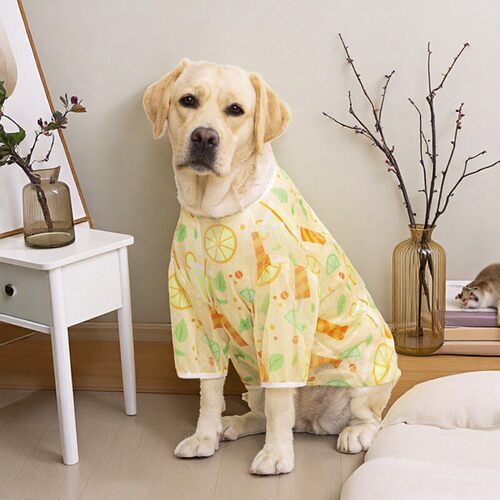 狗狗中大型犬春夏季网眼薄款背心