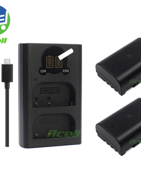 适用于 松下DMW-BLF19E DMW-BLF19E BLF19GK相机电池+USB充电器