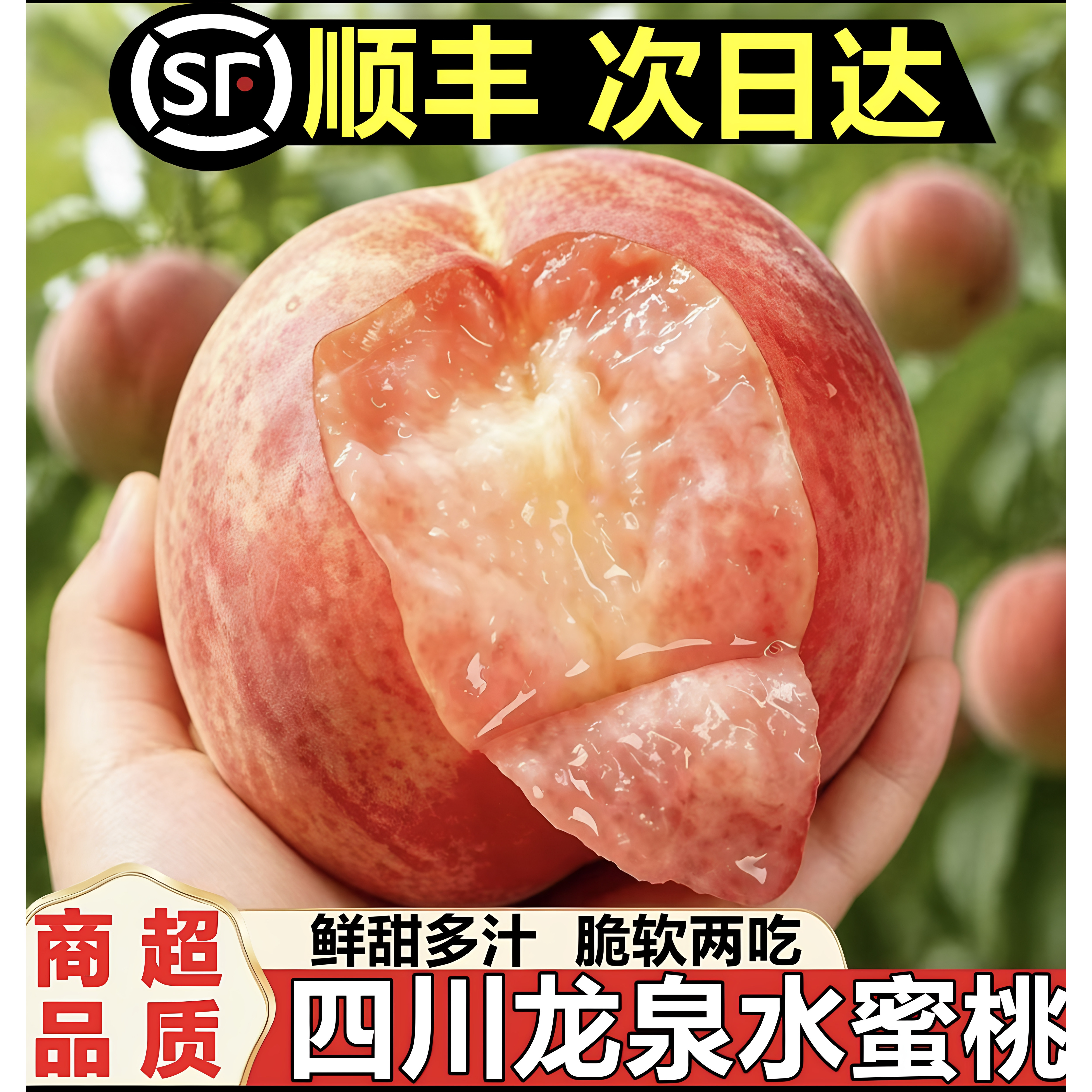 四川新鲜现摘龙泉驿水蜜桃当应季时令孕妇水果香甜多汁桃子蜜顺丰